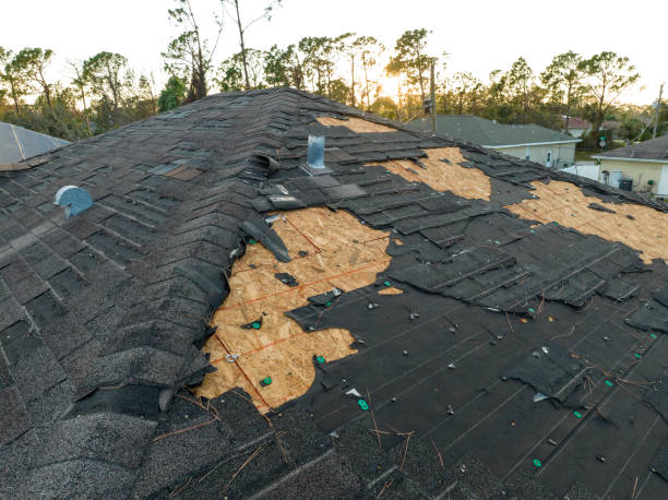 Best Flat Roofing  in Wortham, TX
