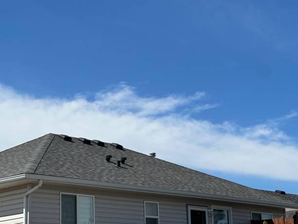 Best Solar Panel Roofing Installation  in Wortham, TX